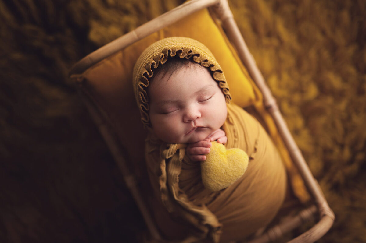 Cambridge newborn photography, Caledonia newborn photography, Best Toronto newborn photographer, Guelph newborn photographer